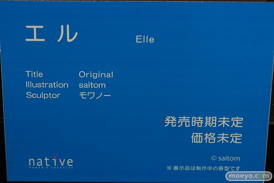 フィギュア エロホビ 第3回 ネイティブグループ合同展示会 エロ キャストオフ ネイティブ 25