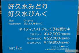 フィギュア エロホビ 第3回 ネイティブグループ合同展示会 エロ キャストオフ ネイティブ 35