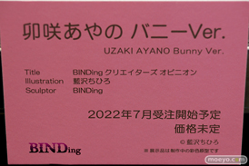 フィギュア エロホビ 第3回 ネイティブグループ合同展示会 エロ キャストオフ BINDing  13
