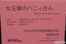 フィギュア エロホビ 第3回 ネイティブグループ合同展示会 エロ キャストオフ BINDing  18