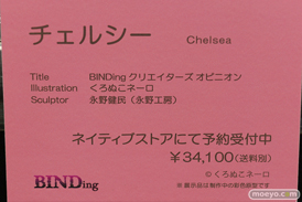 フィギュア エロホビ 第3回 ネイティブグループ合同展示会 エロ キャストオフ BINDing  22