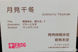 フィギュア エロホビ 第3回 ネイティブグループ合同展示会 エロ キャストオフPink・Cat マジックバレット FROG Cleyera Doll 32