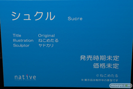 ネイティブ シュクル ねこめたる ヤドカリフィギュア エロホビ 第3回 ネイティブグループ合同展示会 エロ キャストオフ 20