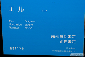 フィギュア エロホビ 第3回 ネイティブグループ合同展示会 エロ キャストオフ ネイティブ エル モワノー saitom 22