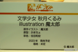 フィギュア ワンダーフェスティバル2022 [夏]　あみあみ エロ 55