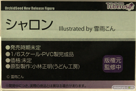 フィギュア ワンダーフェスティバル2022 [夏]　あみあみ エロ 70