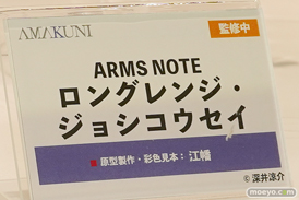 フィギュア ワンダーフェスティバル2022 [夏]　あみあみ  16