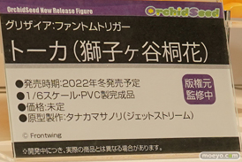 フィギュア ワンダーフェスティバル2022 [夏]　あみあみ  45
