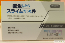 フィギュア ワンダーフェスティバル2022 [夏]　あみあみ  51