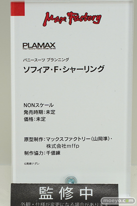 スマイルフェス2022 フィギュア FGO PLAMAX POP UP PARADE 14