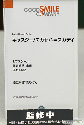 グッドスマイルカンパニー グッドスマイルカンパニー Fate/Grand Order キャスター/スカサハ=スカディ あじけん スマイルフェス2022 フィギュア 14