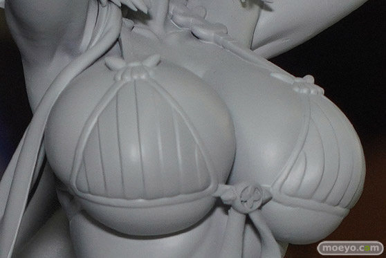 Wonderful Works トリダモノ デイラ 水着のお姉さん フィギュア ワンダーフェスティバル2022 [夏] 11