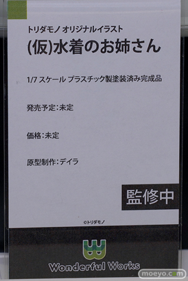 Wonderful Works トリダモノ デイラ 水着のお姉さん フィギュア ワンダーフェスティバル2022 [夏] 22