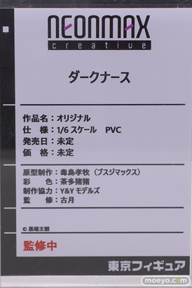 ネオンマックス ダークナース 毒島秀牧 茶多猪猪 Y&Yモデルズ 古月 フィギュア ワンダーフェスティバル2022 [夏] 14