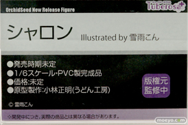 チューベローズプラス オーキッドシード シャロン illustrated by 雪雨こん 小林正明 フィギュア ワンダーフェスティバル2022 [夏] 10