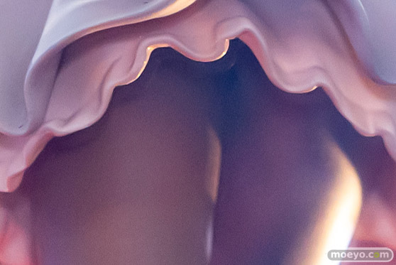 インテリジェントシステムズ ファイアーエムブレム 封印の剣 リリーナ 罍沙織 Ecto-1 フィギュア あみあみ 13