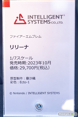 インテリジェントシステムズ ファイアーエムブレム 封印の剣 リリーナ 罍沙織 Ecto-1 フィギュア あみあみ 14