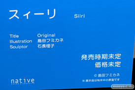 第4回 ネイティブ フィギュア展示会（エロホビ） エロ フィギュア キャストオフ ネイティブ 08