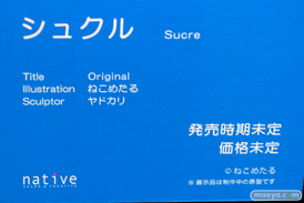 第4回 ネイティブ フィギュア展示会（エロホビ） エロ フィギュア キャストオフ ネイティブ 11