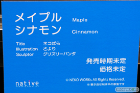 第4回 ネイティブ フィギュア展示会（エロホビ） エロ フィギュア キャストオフ ネイティブ 17