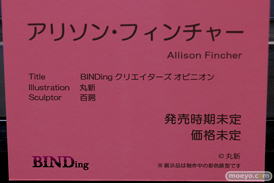 第4回 ネイティブ フィギュア展示会（エロホビ） エロ フィギュア キャストオフBINDing  30