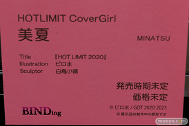 第4回 ネイティブ フィギュア展示会（エロホビ） エロ フィギュア キャストオフBINDing  40