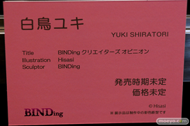 第4回 ネイティブ フィギュア展示会（エロホビ） エロ フィギュア キャストオフBINDing  63