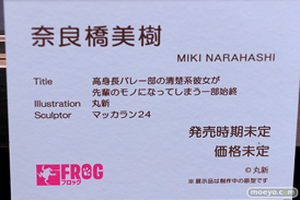 第4回 ネイティブ フィギュア展示会（エロホビ） エロ フィギュア キャストオフFROG  05