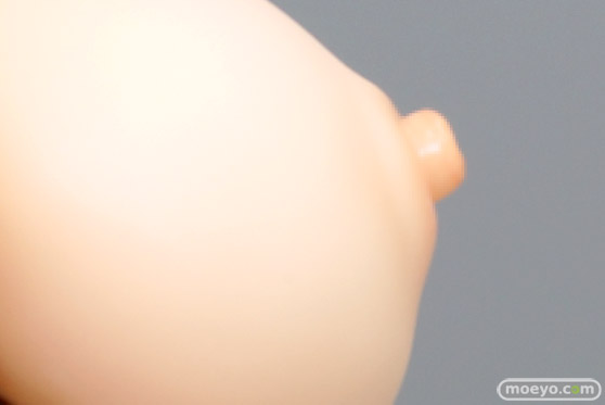 スカイチューブ エルフ illustration by けけもつ EGG Leo エロ キャストオフ フィギュア 製品版 50