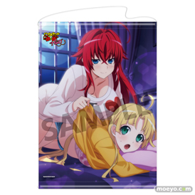 ハイスクールD×D HERO アクリルフィギュア アクリルプレート タペストリー ラバーマット 03