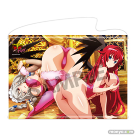 ハイスクールD×D HERO アクリルフィギュア アクリルプレート タペストリー ラバーマット 04