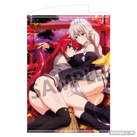 ハイスクールD×D HERO アクリルフィギュア アクリルプレート タペストリー ラバーマット 05