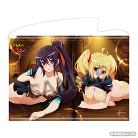 ハイスクールD×D HERO アクリルフィギュア アクリルプレート タペストリー ラバーマット 07