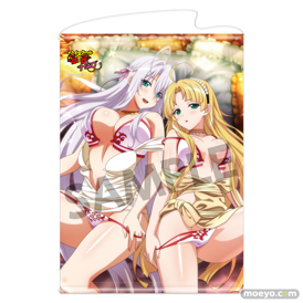 ハイスクールD×D HERO アクリルフィギュア アクリルプレート タペストリー ラバーマット 08