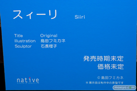 ネイティブ 島田フミカネ スィーリ 石長櫻子 第4回 ネイティブ フィギュア展示会（エロホビ） エロ フィギュア キャストオフ 18