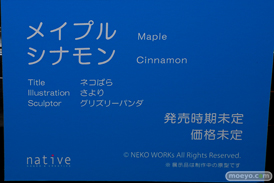 ネイティブ ネコぱら メイプル シナモン さより グリズリーパンダ 第4回 ネイティブ フィギュア展示会（エロホビ） エロ フィギュア キャストオフ 25