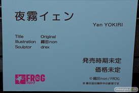 FROG 夜霧イェン 織田non drex 第4回 ネイティブ フィギュア展示会（エロホビ） エロ フィギュア キャストオフ　22