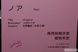 ロケットボーイ ノア コガタイガ 永野健民 第4回 ネイティブ フィギュア展示会（エロホビ） エロ フィギュア キャストオフ 20