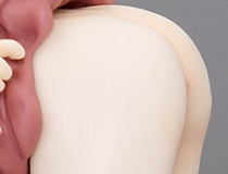 【アダルトフィギュア】まるだしでモロ出しもOK！ダイキ工業「ギターガール　玉置勉強デザイン」新作美少女フィギュア製品版画像レビュー