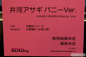 BINDing 対魔忍シリーズ 井河アサギ バニーVer. 永野健民 月柳 カガミ ネイティブ 21