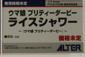 メガホビEXPO2022 NEW DOT フィギュア アルター 71