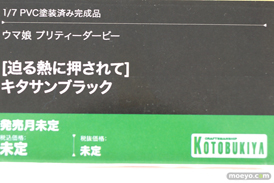 メガホビEXPO2022 NEW DOT フィギュア キューズQ コトブキヤ  61