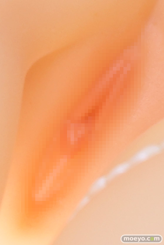 スカイチューブ 濡れ女神 illustration by 魔太郎 Leo エロ フィギュア キャストオフ 製品版 50