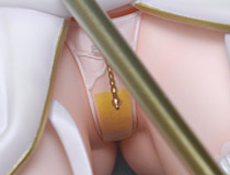 2000本以上掲載した moeyo.com 2023年 掲載記事年間ランキングカウントダウン TOP75！【75位から61位まで】