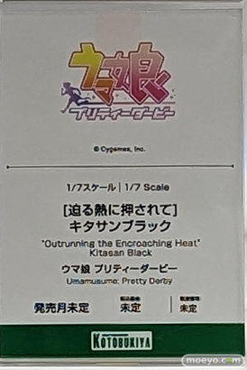 コトブキヤコレクション2023 フィギュア 11