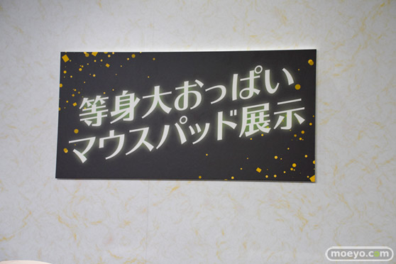 閃乱カグラTEN 夜桜 四季 フィギュア 03