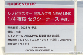 閃乱カグラTEN 夜桜 四季 フィギュア 30
