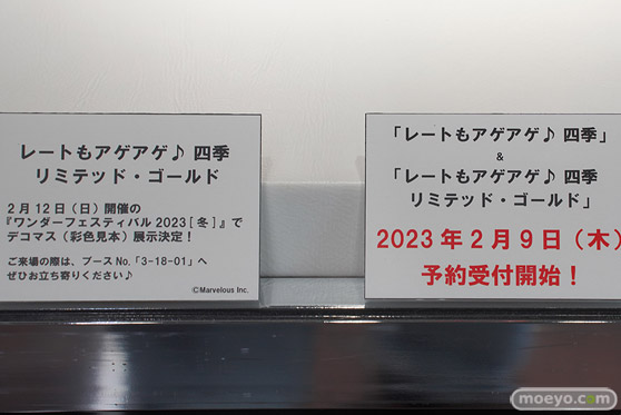 閃乱カグラTEN 夜桜 四季 フィギュア 37