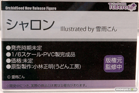 フィギュア ワンダーフェスティバル2023 [冬] 　 チューベローズプラス ジェントルメン Vibrastar Partylook プレアデス 18