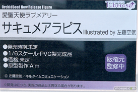 フィギュア ワンダーフェスティバル2023 [冬] 　 チューベローズプラス ジェントルメン Vibrastar Partylook プレアデス 30